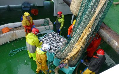 Work on pioneering ‘self-sampling’ scheme gathers pace