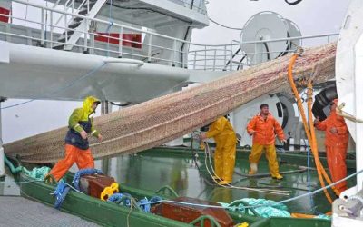 Presentation on mackerel science and sustainability of pelagic fisheries