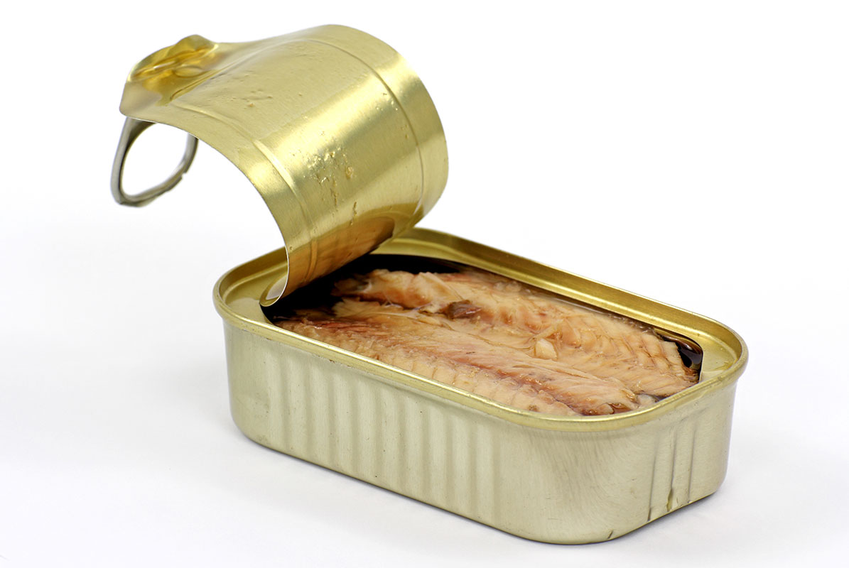 Mackerel and herring a great source of Vitamin D during pandemic