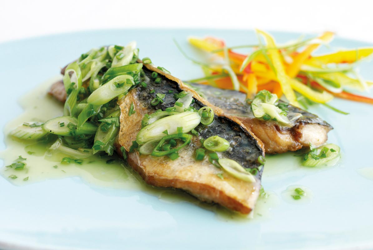 Grilled Fillet of Mackerel with a Parsley and Spring Onion Dressing