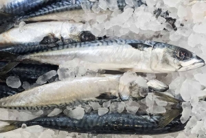 Advocacy group alarmed at Norway mackerel quota grab