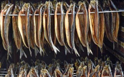 Herring Sales Boom