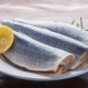 Scottish herring - the super-food of our seas
