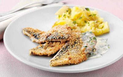 Delicious, sustainably harvested Scottish North Sea herring now in season