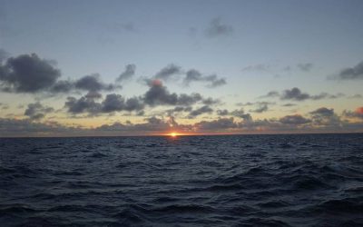 Scottish pelagic fishermen condemn unilateral quota increases by Norway and Faroe