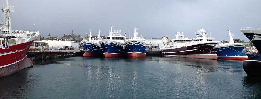 Good end-of-year mackerel fishery for Scottish fleet