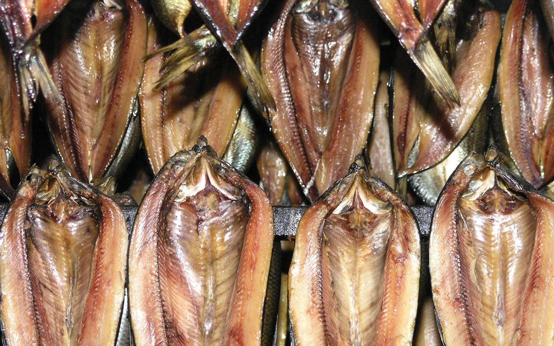 The comeback kipper!