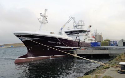 Good marks of mackerel encountered by Scottish fleet during January fishery