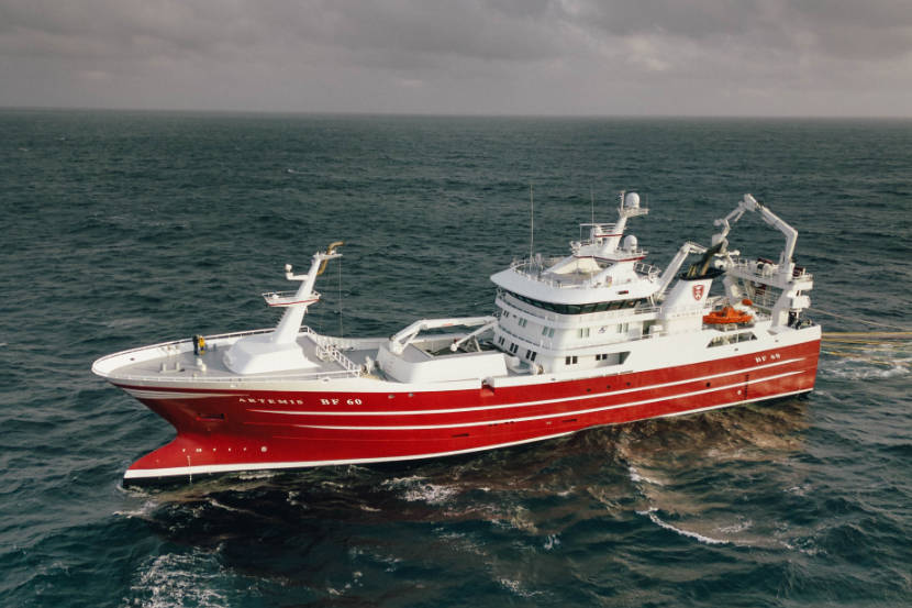 European nations celebrate ‘small but mighty’ North Sea herring European nations celebrate 'small but mighty' North Sea herring
